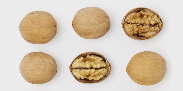 walnut inshell