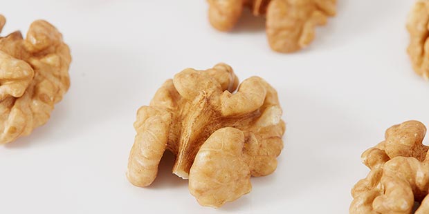 walnut kernel